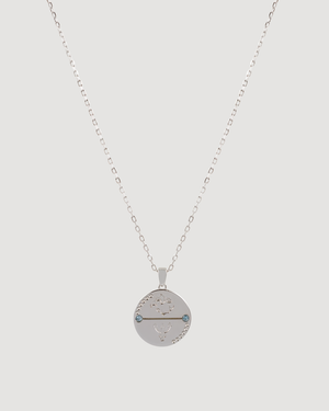 Silver Pisces necklace by Cvlcha on a light gray background
