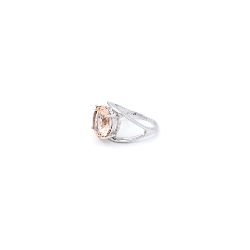 The Citrus Empire Ring - Silver - CVLCHA